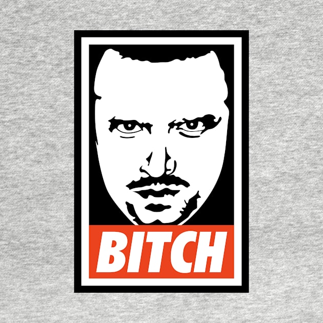 Jesse Pinkman - Bitch by Gabriel Pastor Store